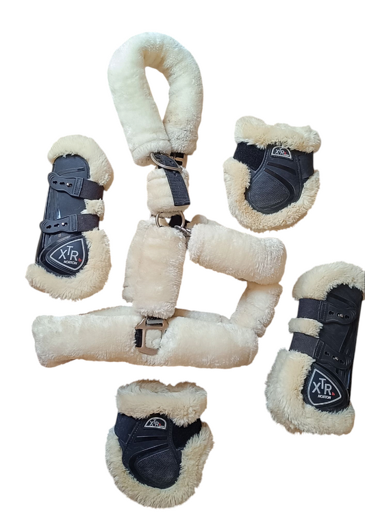 Ensemble licol et protection Norton XTR Moumoute — Taille Cob Ma boutique