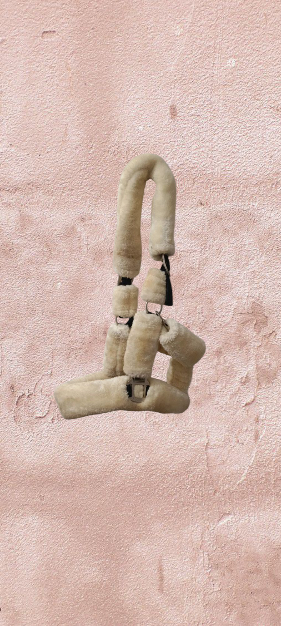 Licol moumoute blanc Amor For All