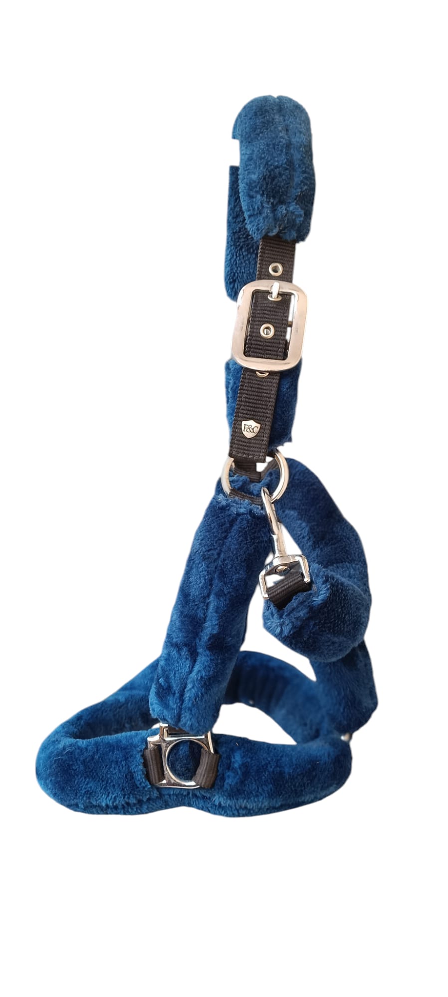 Licol Bleu F&C Amor For All