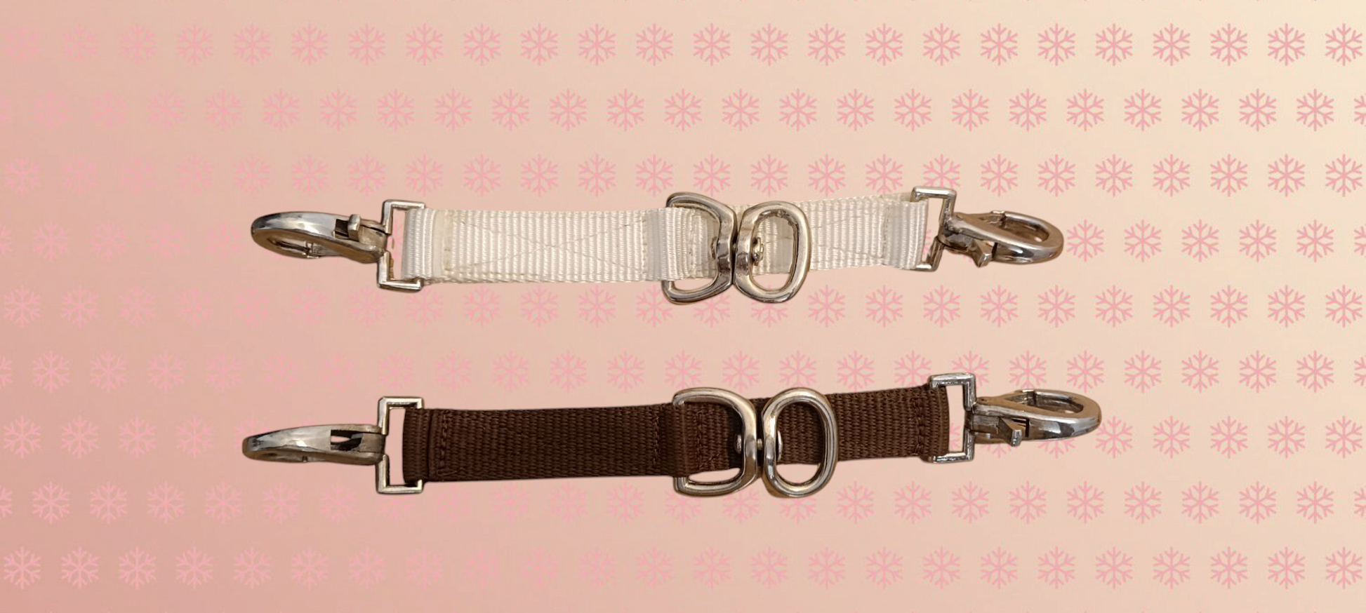 Alliance longe Amor For All