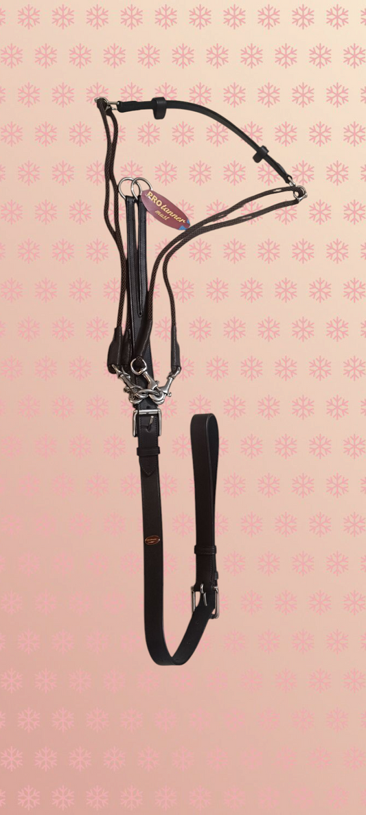 Gogue taille cheval Ma boutique