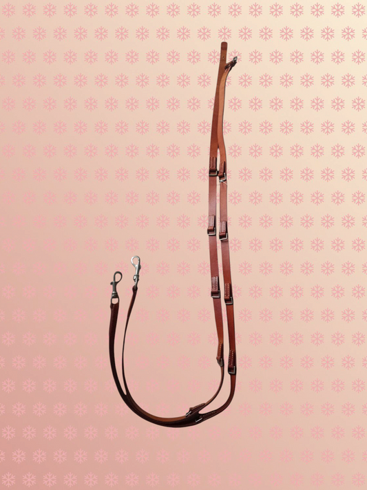 Rênes marron avec mousquetons Ma boutique