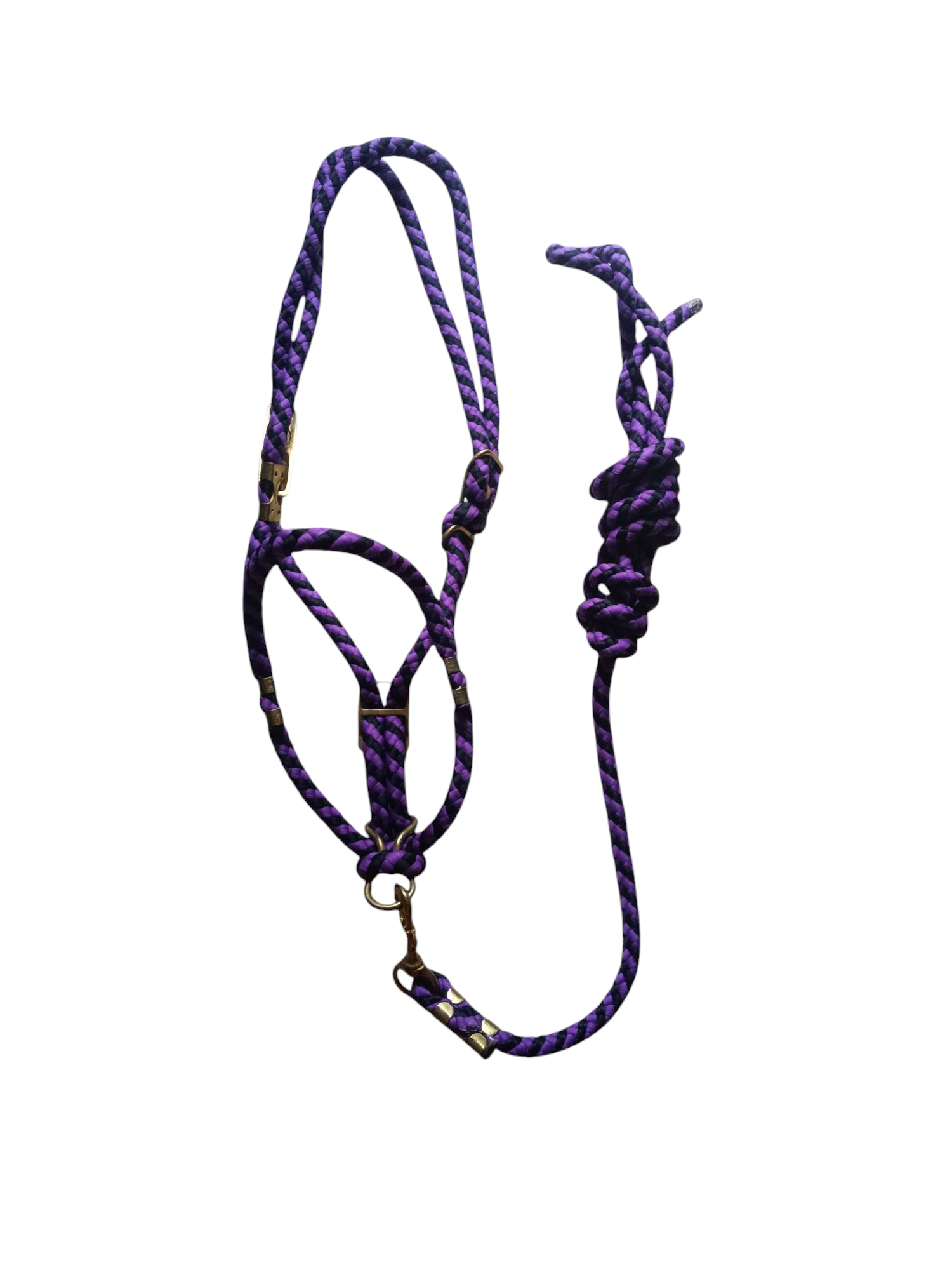 Licol réglable  + longe Ma boutique